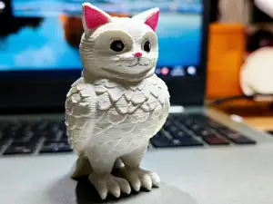 猫猫猫头鹰