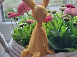 Sitting Bunny