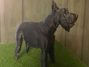 Giant Schnauzer