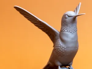 Kolibri