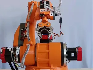 robotic arm 6 Axis .ASTOLFI by ALI