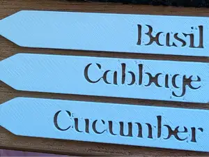 Seedling Signs