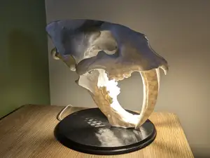 Smilodon Lamp Skull