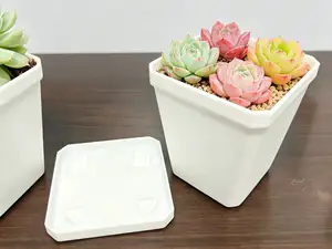 带托盘的花盆