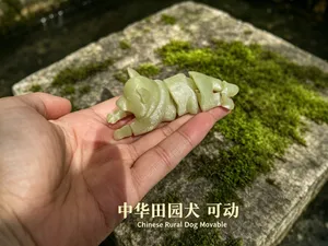 中华田园犬可动