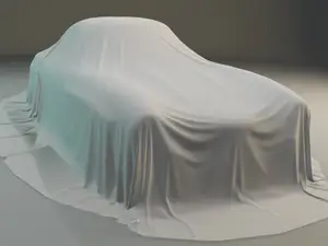 Covered Mercedes-Benz 300SL Gullwing