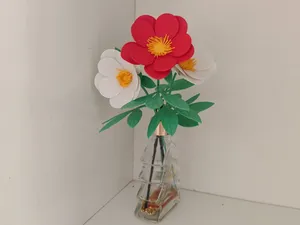 单瓣芍药(中国爱情之花/五月花神)