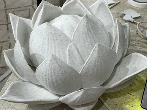 Lotus Lamp