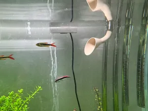 喇叭出水口