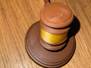 Judge Hammer