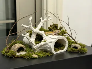 热带雨林 枯树 守宫小屋 守宫躲避屋 守宫缸 造景 爬宠小屋