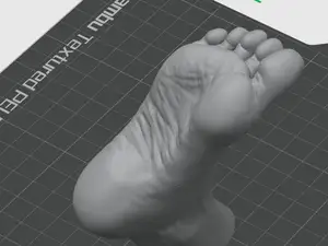 脚