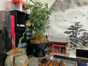 高脚岩石纹理禅意花盆