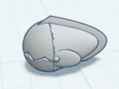 eel