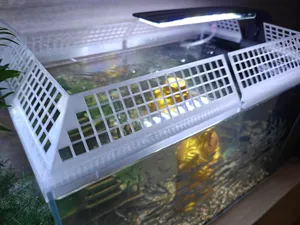 鱼缸防跳网