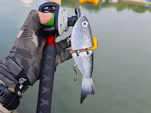 3D打印泳饵(Swimbait)
