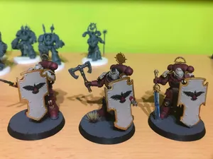 Bloody birds paladins