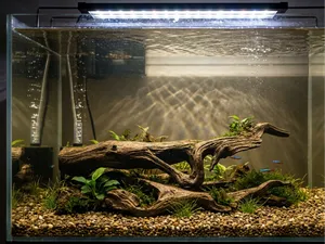 枯木造景,鱼缸造景,生态缸,躲避屋