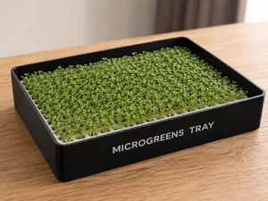 MICROGREENS NO SOIL TRAY - STACKABLE