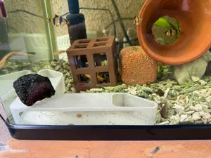 HIDAKA | Aquarium Tunnel/Support-Free Fish Shelter