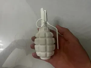 富贵牌 F1小柠檬科教模型