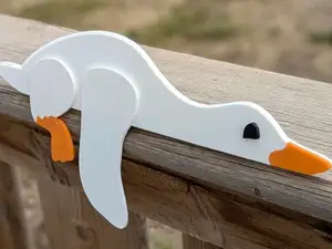 Ducky hanging around!
