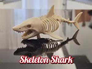 Skeleton Shark