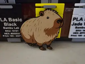 2D Capybara Art
