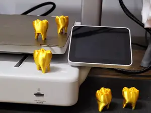Golden tooth golden teeth human tooth