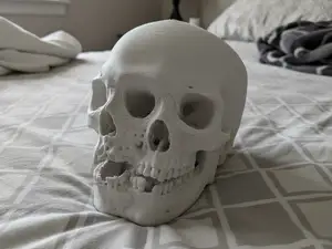 Two Faced Skull - Halloween Decoration