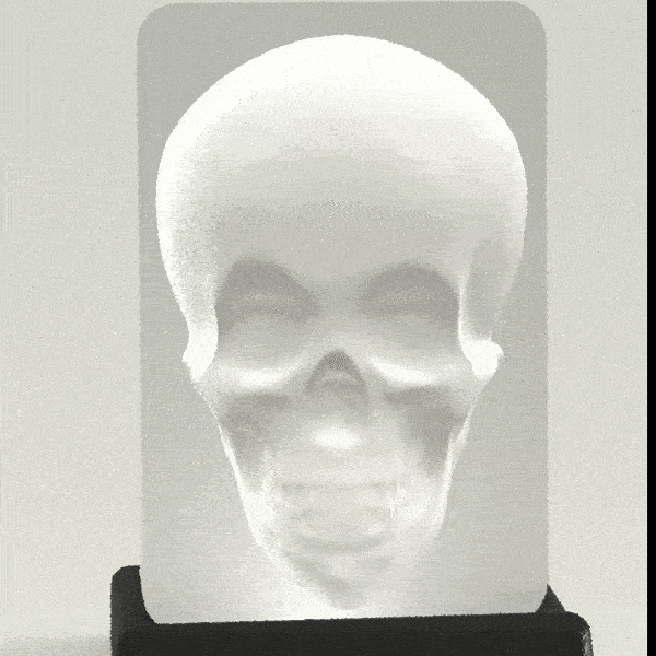 Optical illusion - Murray the tracking Skull