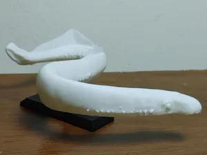 Lamprey Fish Mount