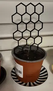 Plant climbers support tomatoes