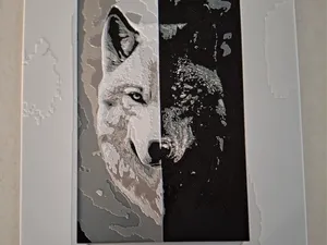 Loup Blanc Loup Noir