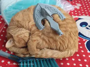 JOJO虫箭