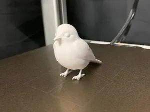 Piccolo uccellino carino e grazioso