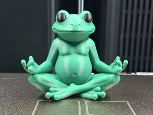 Zen Frog