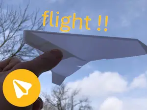 Simple one wing glider, print in place.