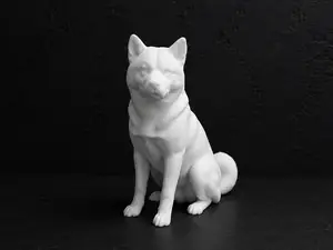 Akita Inu - animal - dog