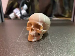 Mini Teschio