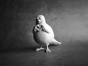 A dove making a heart gesture with its wings