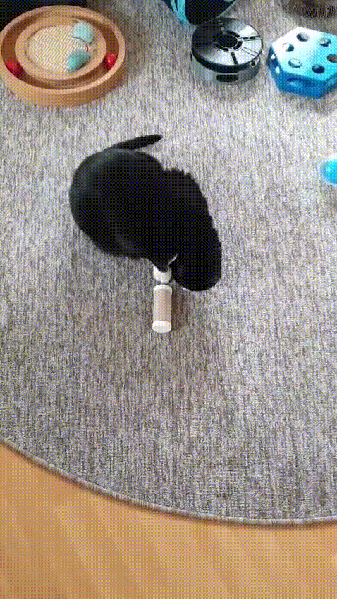 Toilettenpapierrollen-Leckerchen