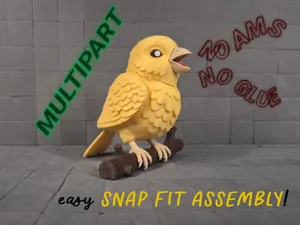 Singing Canary | Multicolor Multipart no AMS
