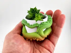 Succulent vase plant pot