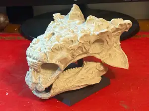 Ankylosaurus Skull – Armoured Dinosaur Fossil