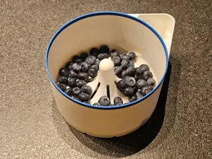 Fruit Washer