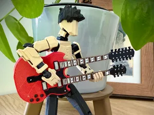 Gibson Double Neck