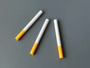 Realistic Cigarette Model