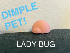 lady bug dimple pet