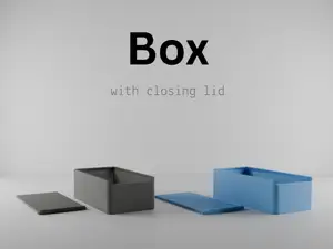 Box with lid